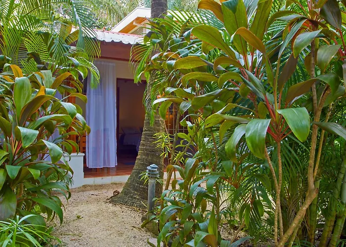 Hotel Living Nosara